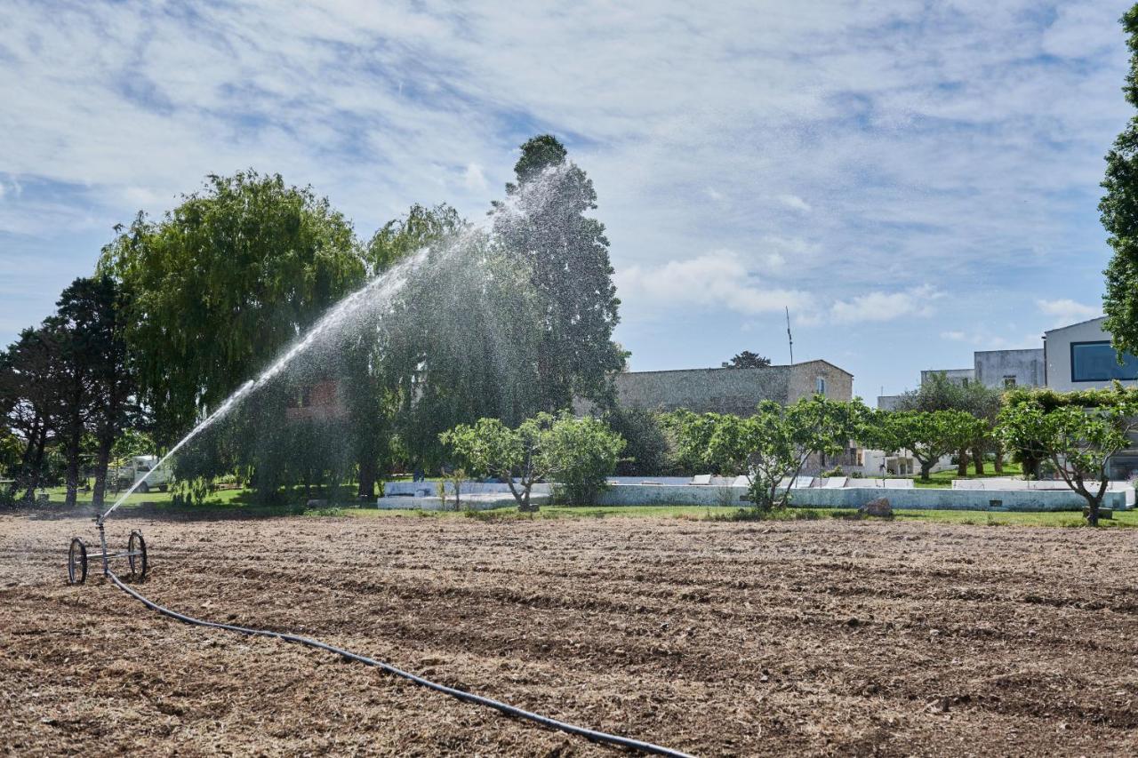 Masseria Prosperi Алимини Экстерьер фото
