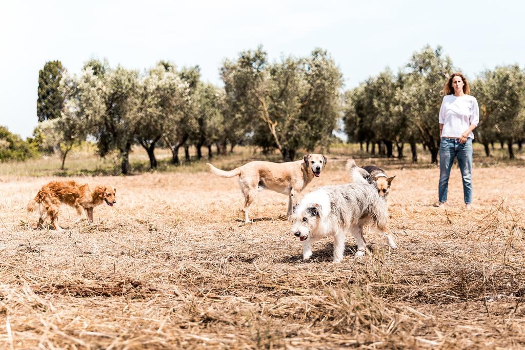 Masseria Prosperi Алимини Экстерьер фото