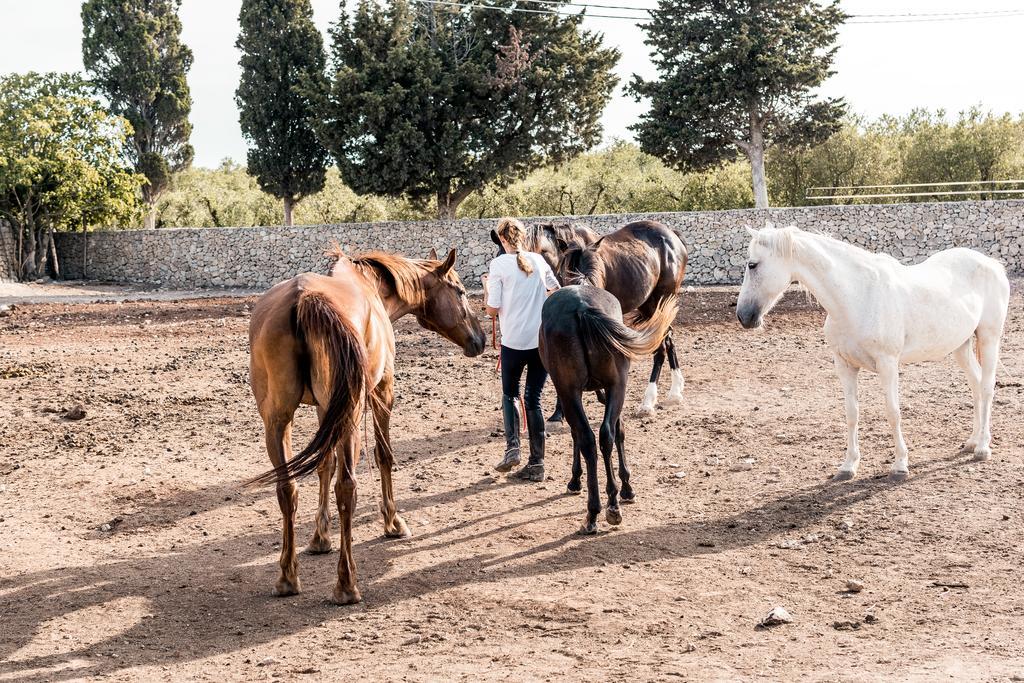Masseria Prosperi Алимини Экстерьер фото